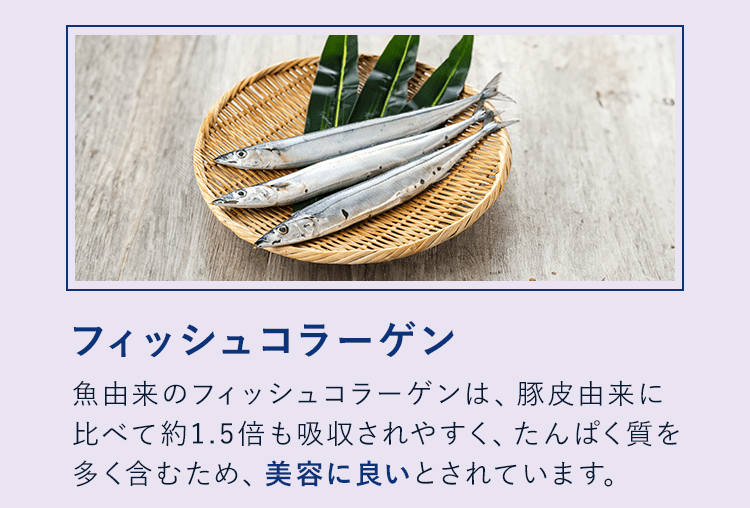 【新品未使用】ノーカウント　サプリ ノーカウント 1袋 : OSK store - 通販 - Yahoo!ショッピング